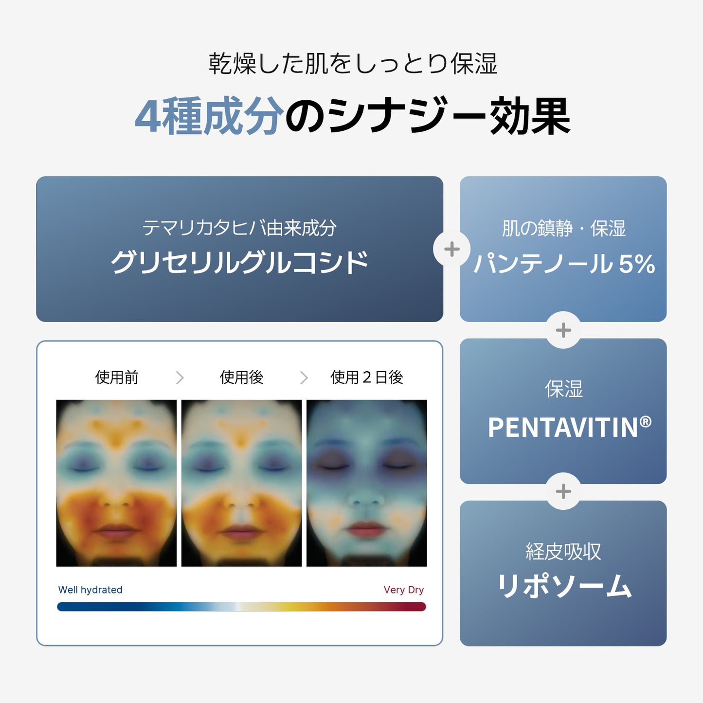 ソフト モイスチャー パンテノール ローション 300ml / 敏感肌 パンテノール5％ 保湿 しっとり 鎮静 無香料 無着色 スキンケア 潤い