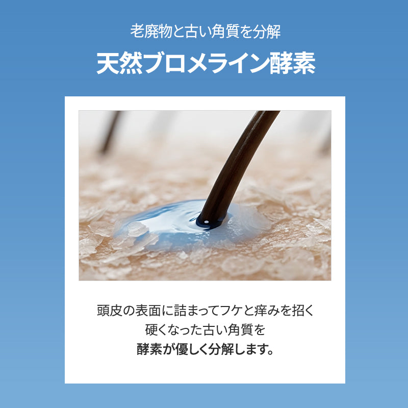 【６月メガセール】塩＆酵素スカルプシャンプー 500ml / シャンプー 塩シャンプー 酵素 弱酸性 角質 フケ 脂漏性 かゆみ 保湿 ヒアルロン酸 敏感肌